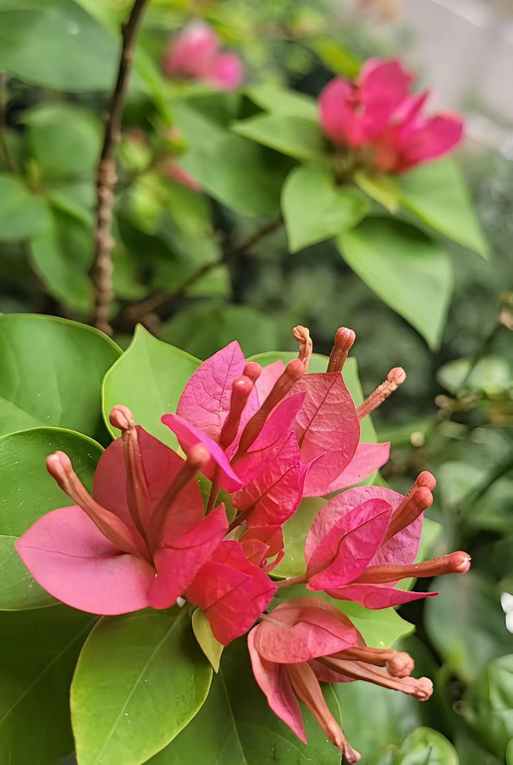 两大重磅利好落地！A 股早盘击穿 3869 深 V 逆转大涨 53 点，背后逻辑
