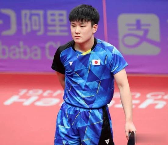 两次世界女单冠军郭焱说的一点没有错，张本智和和王楚钦最大的差距，还是生长环境不同