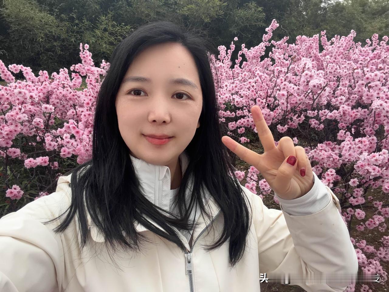程序员觉得很可笑，很多人一听AI软件开发，就觉得AI能代替人工、效率高、成本低，