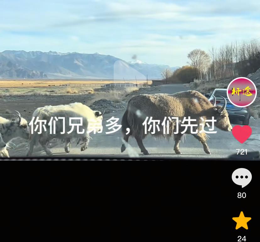 途姐又更新疆Vlog 了熟悉的配方 我又在笑 速看