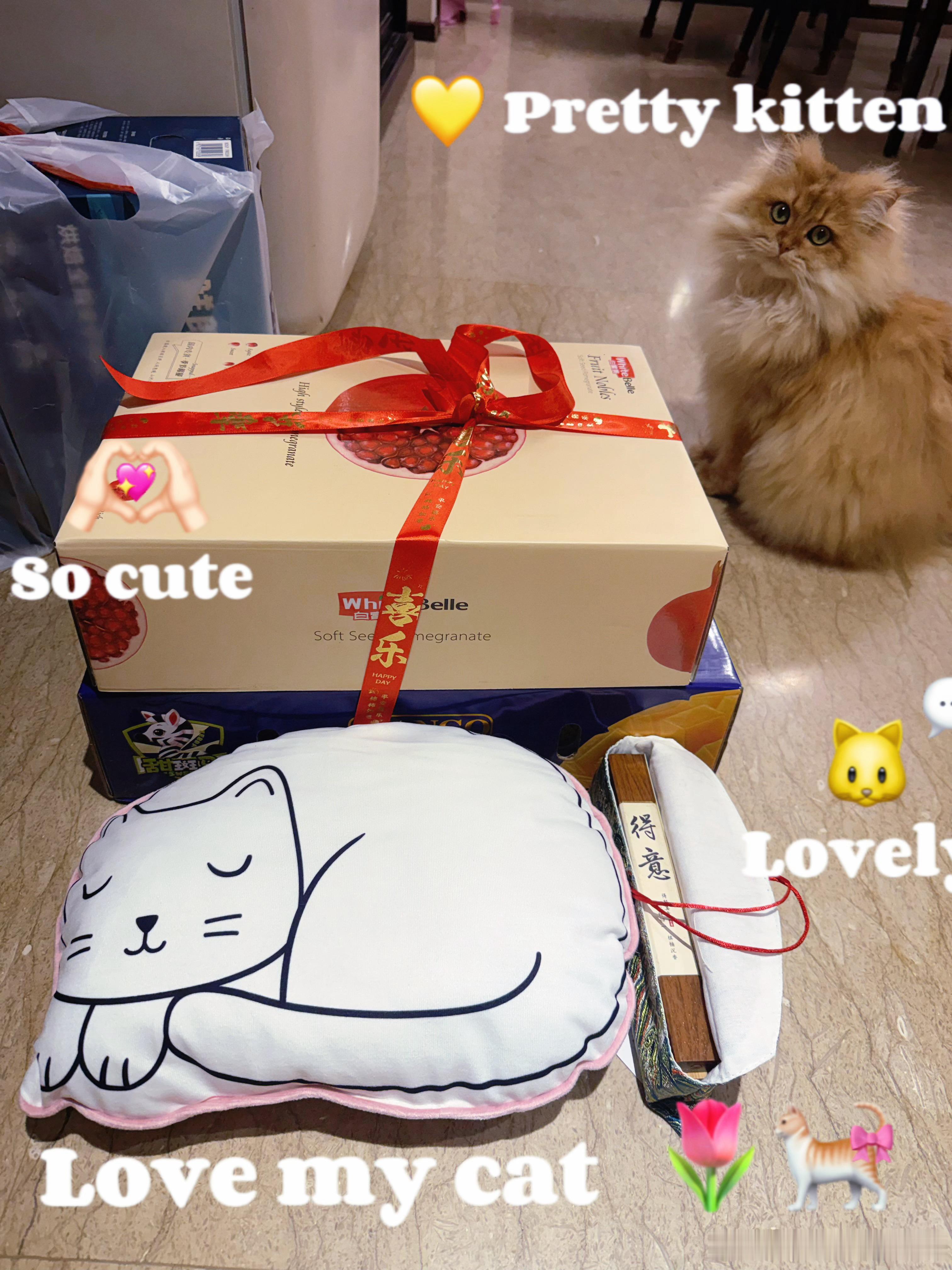 今天不用走路😛💕我是被礼物“砸”进家门的 ​​​