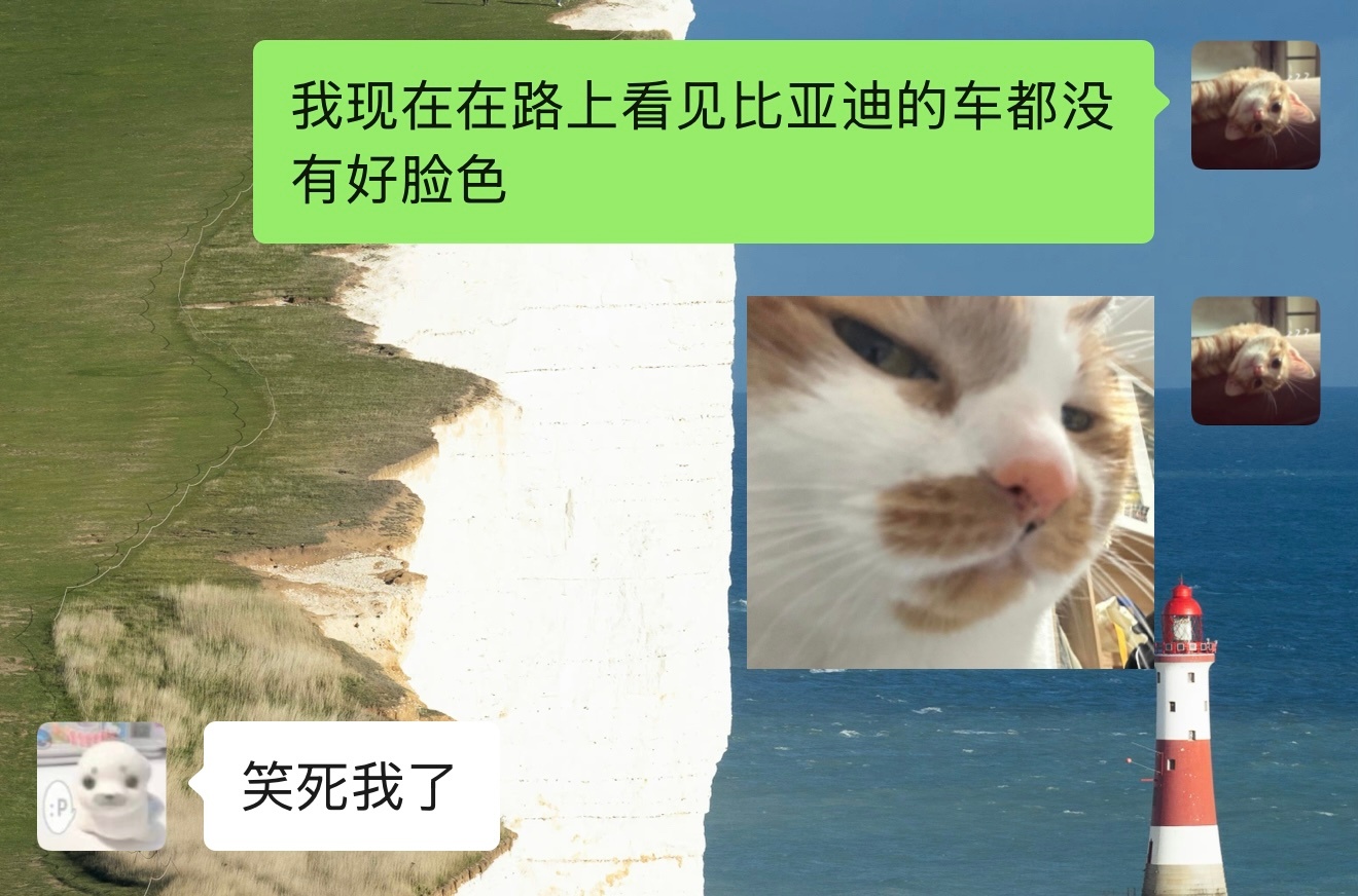 前男友的车是比亚迪