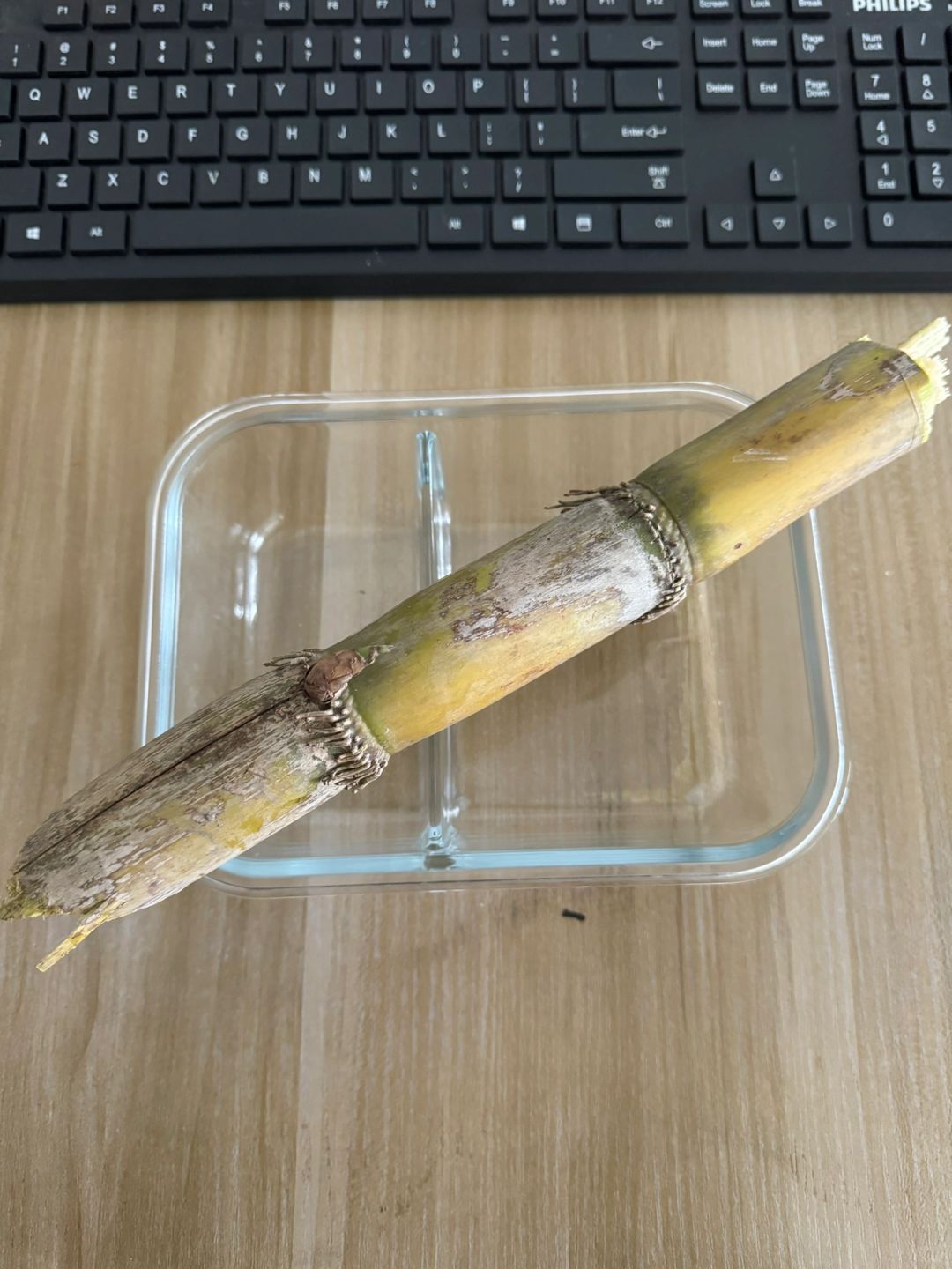 带饭427天，舍友洗完澡光着走出浴室，她爸在