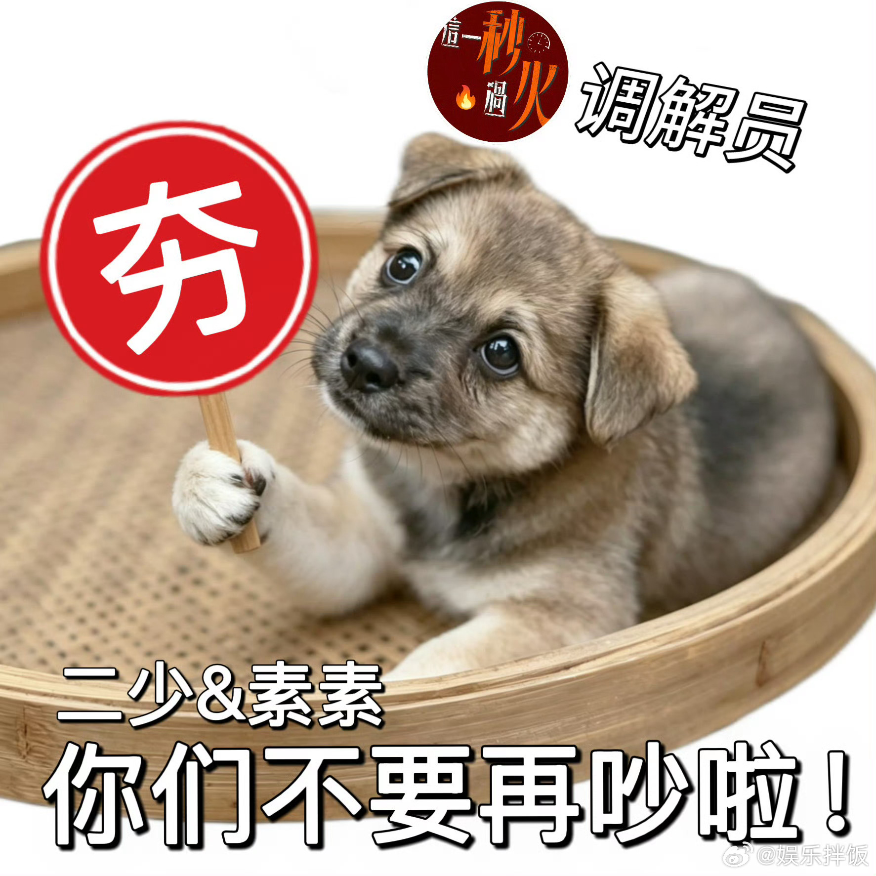 这一秒过火猜你想看王楚然张凌赫你们不要再吵了 从雪天撑伞的温柔到疑似枪杀的紧张，