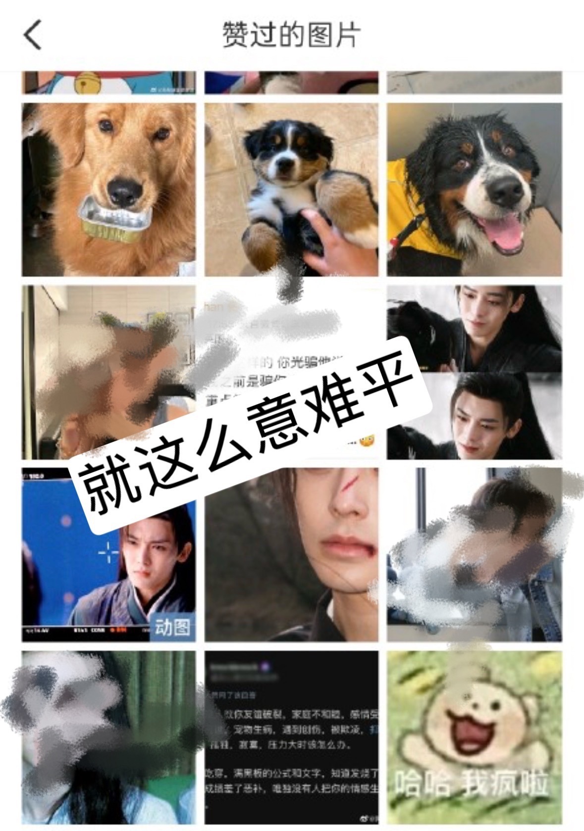 74拉倒 