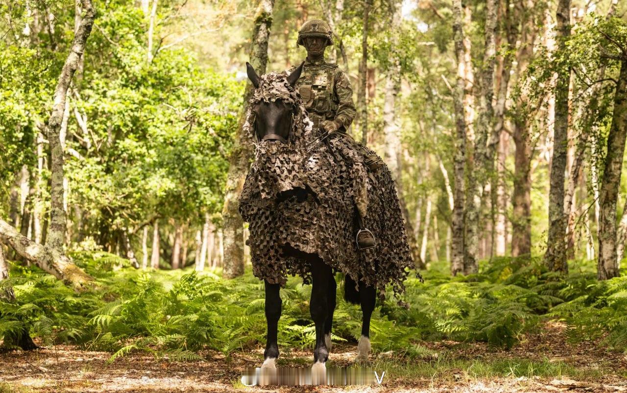 英军 家庭骑兵团 士兵在 汉普郡 朗穆尔训练区 进行年度夏季演习，练习 骑马侦察