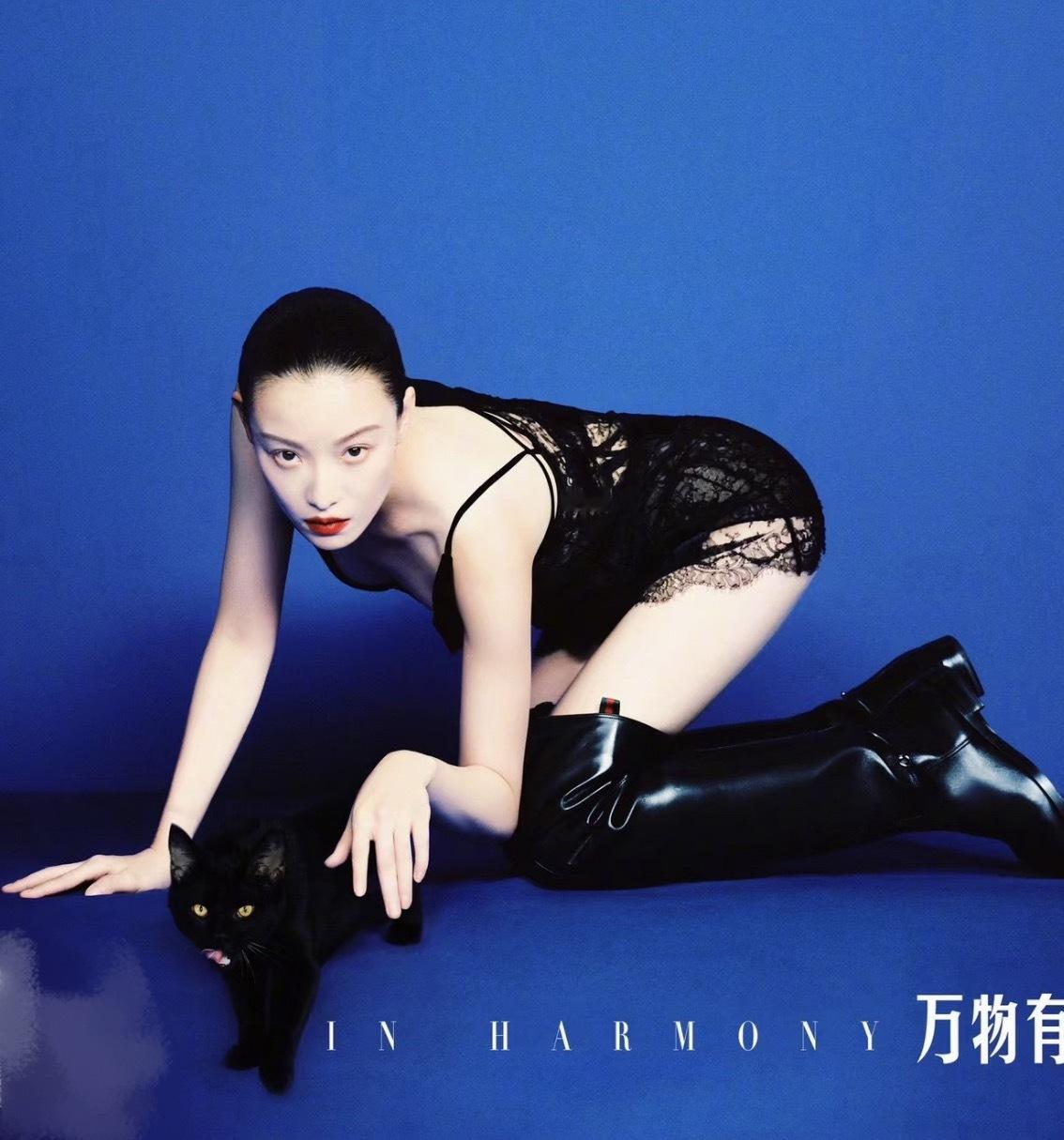 一些宠物和女明星的硬照表现力…