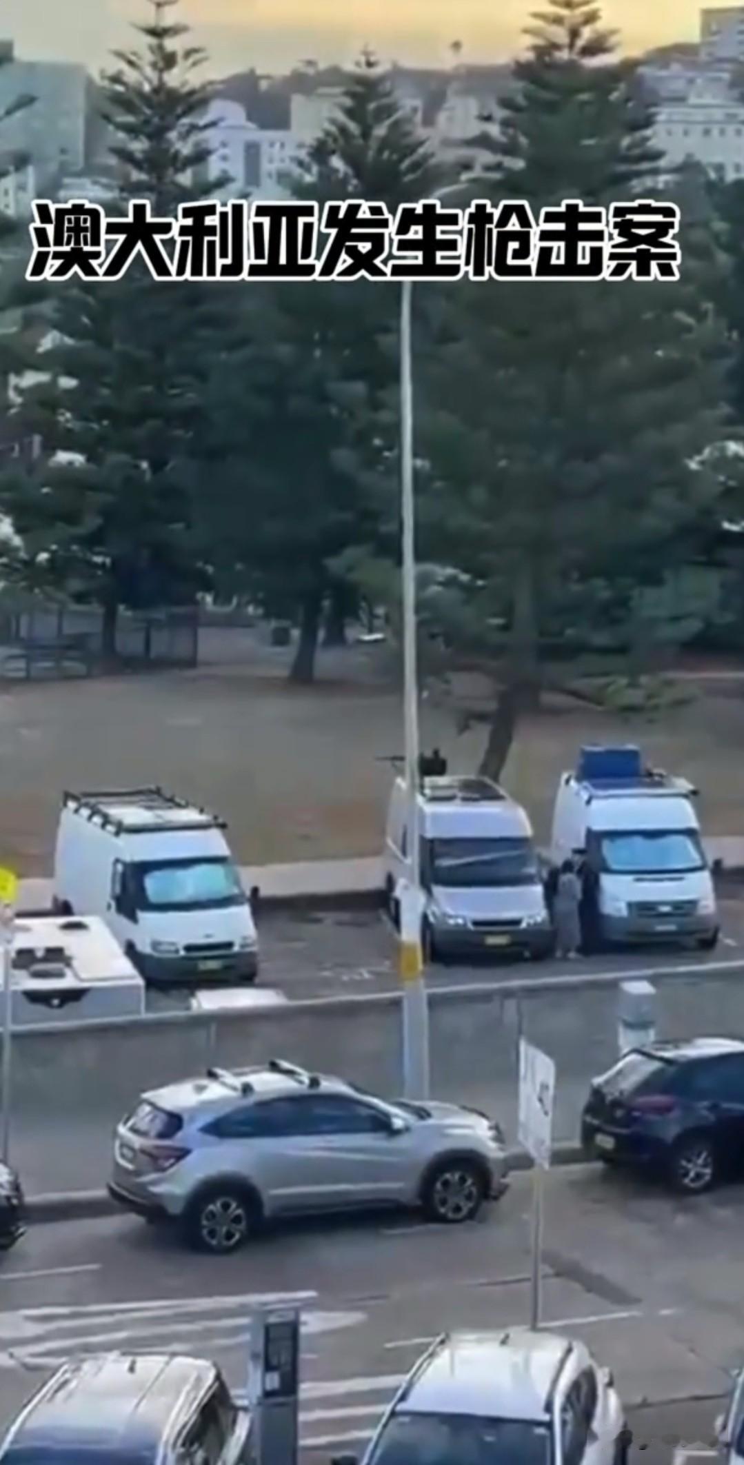 📢 突发时讯！澳大利亚邦迪海滩发生枪击案

据澳网友Evo发表于2025-12