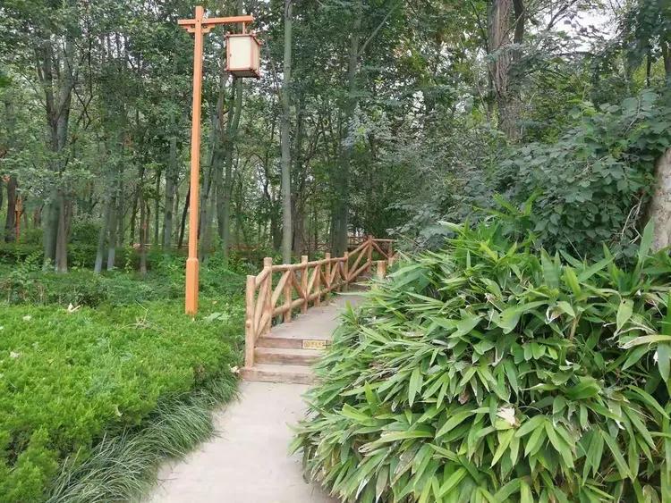 楼下公园新增了不少初秋绿植景观，散步的时候看到不少老人小孩乘凉散心。入秋后气温舒