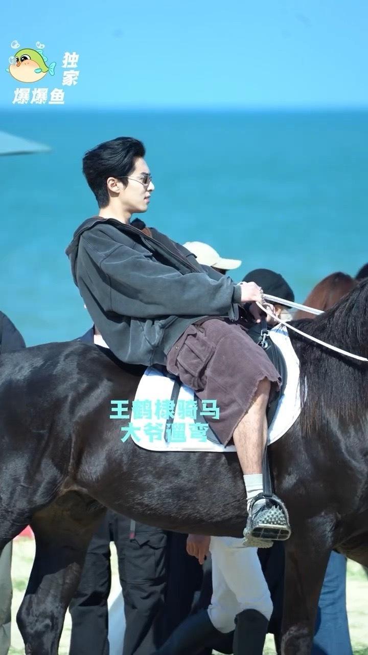 你好星期六全员团建路透哈哈哈哈哈王鹤棣这大爷遛弯式骑马 