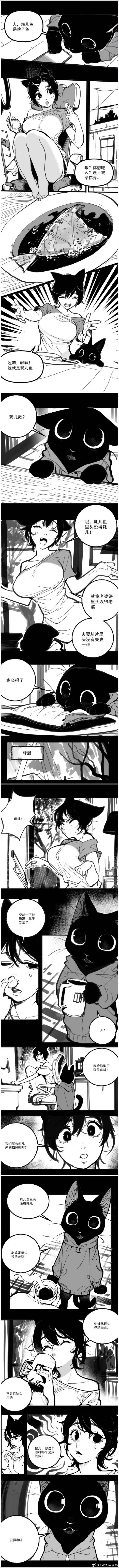 猫屎咖啡的终结版，突然觉得很好玩，很有意思，你们也喜欢吗？耗儿鱼～(￣▽￣～)~