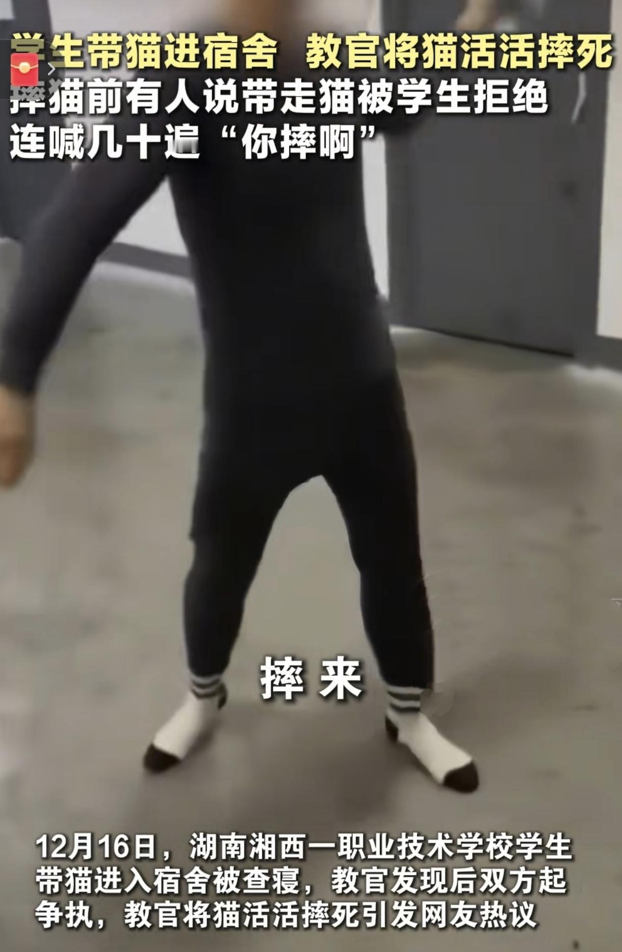 摔猫这个事情，到底是怎么回事呢？怎么报道的消息不一样呢？权威媒体披露出来的消息说