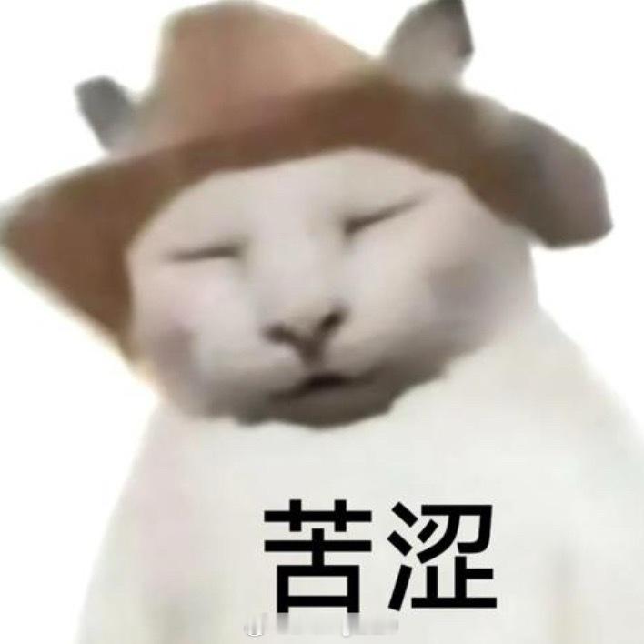 陈瑶粉丝这个世界给老实人一条活路吧 