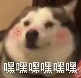 为什么现在年轻人倾向于独居生活？
近年来，越来越多的年轻人选择独居生活，即使在有