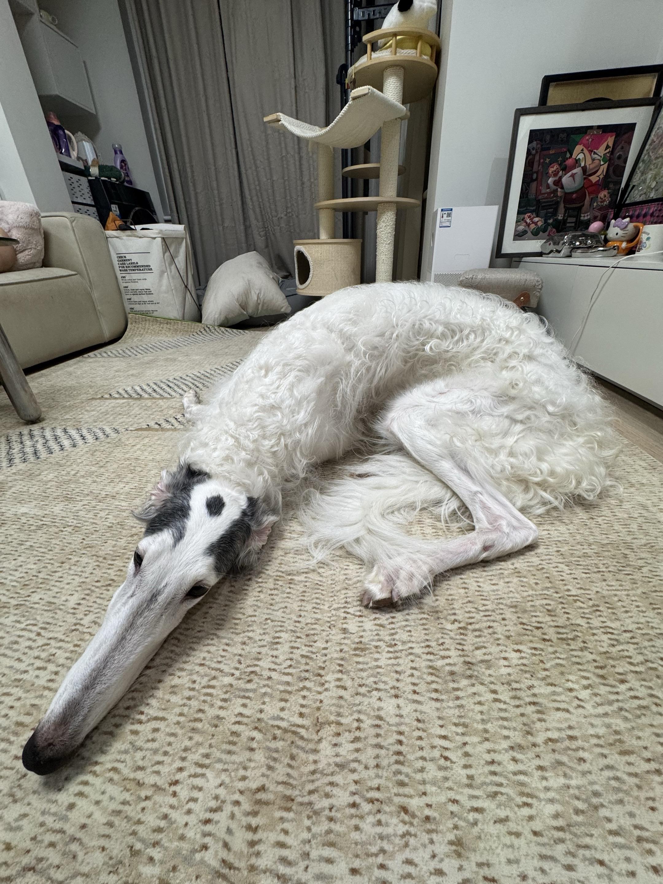 离谱的一根脸……