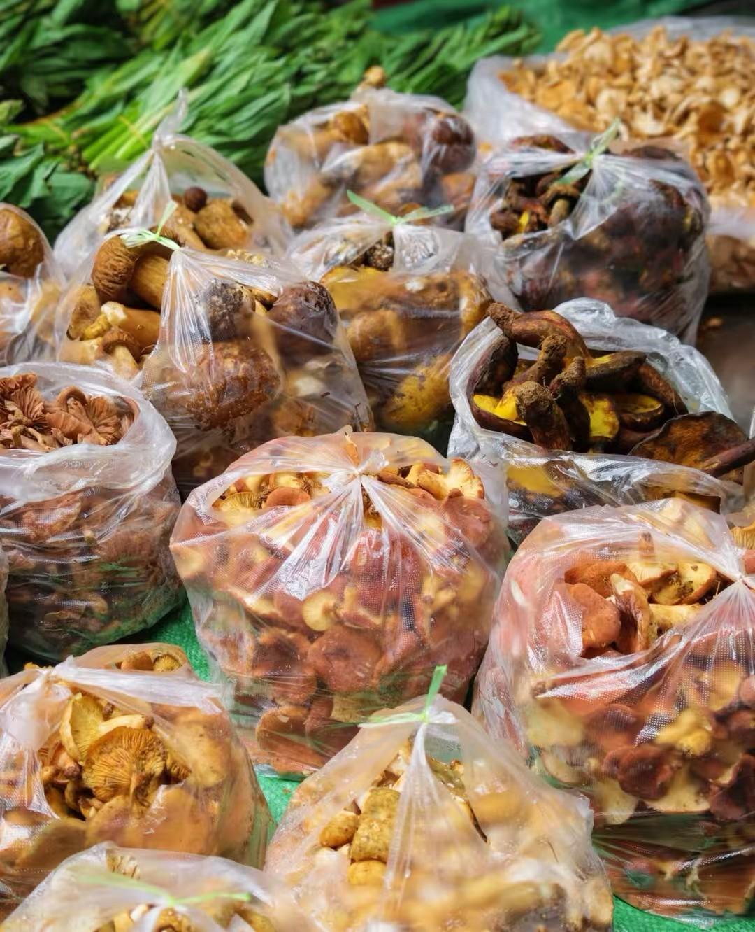 大理野生菌