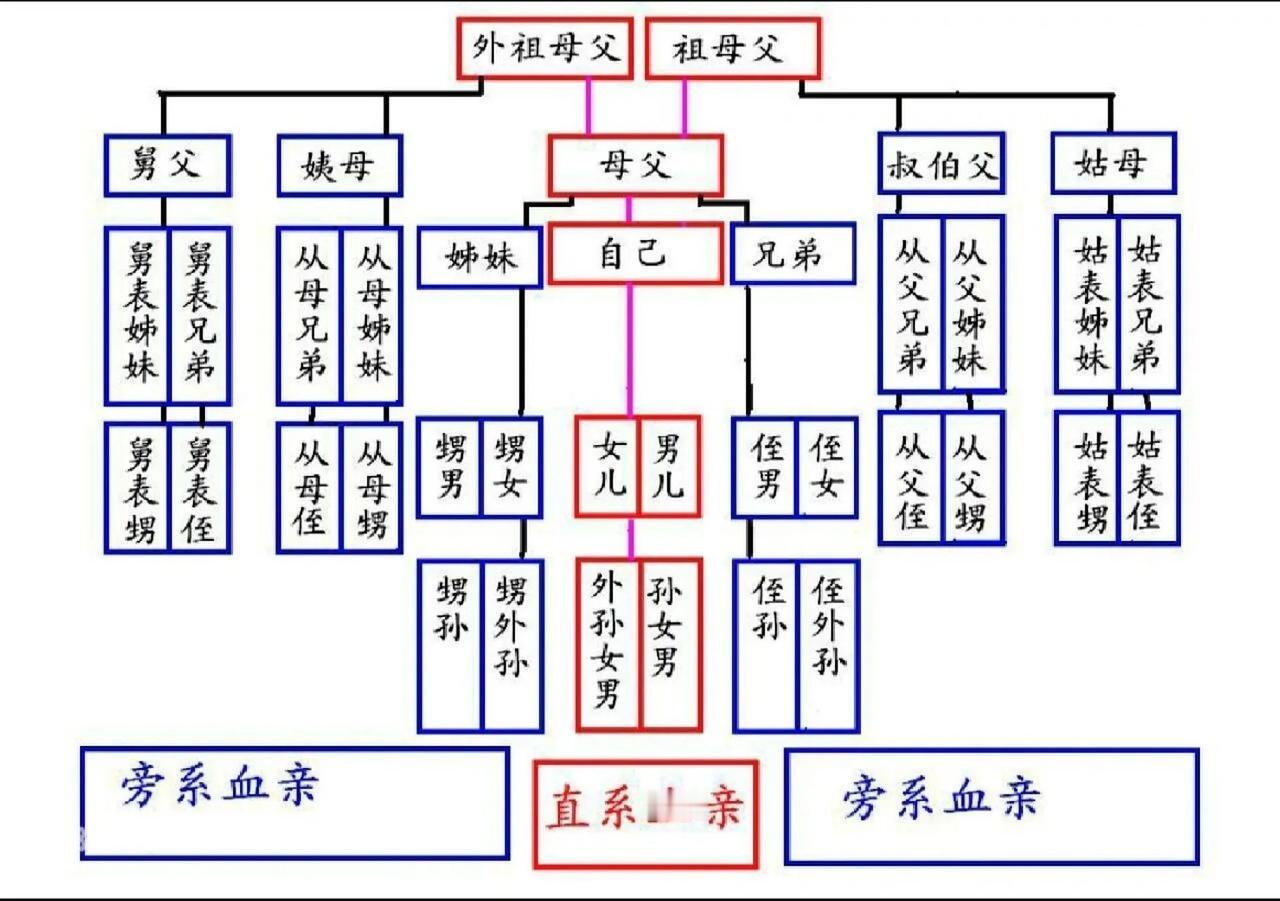 夫妻关系亲还是姐弟关系亲？

亲姐弟是有血缘关系的，但从法理上讲姐弟只能算旁系血