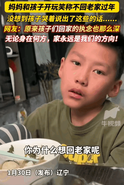 破防了！辽宁，女子问儿子: “你为什么想回老家过年呢！”儿子突然哭着说: “想看