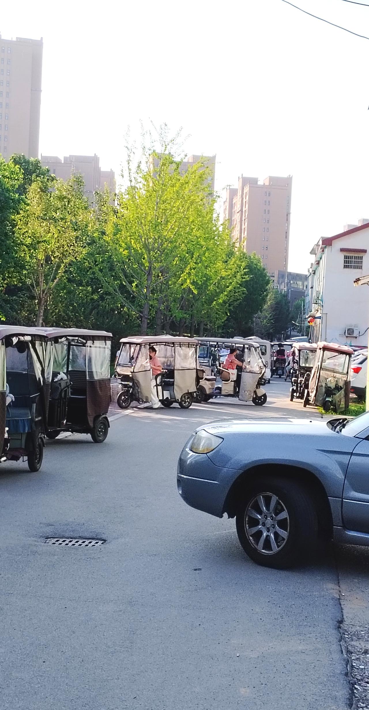 早晨去公园散步，看到很多小学生在晨读，晨读节束后，，家家在接小学生们回家，看到这