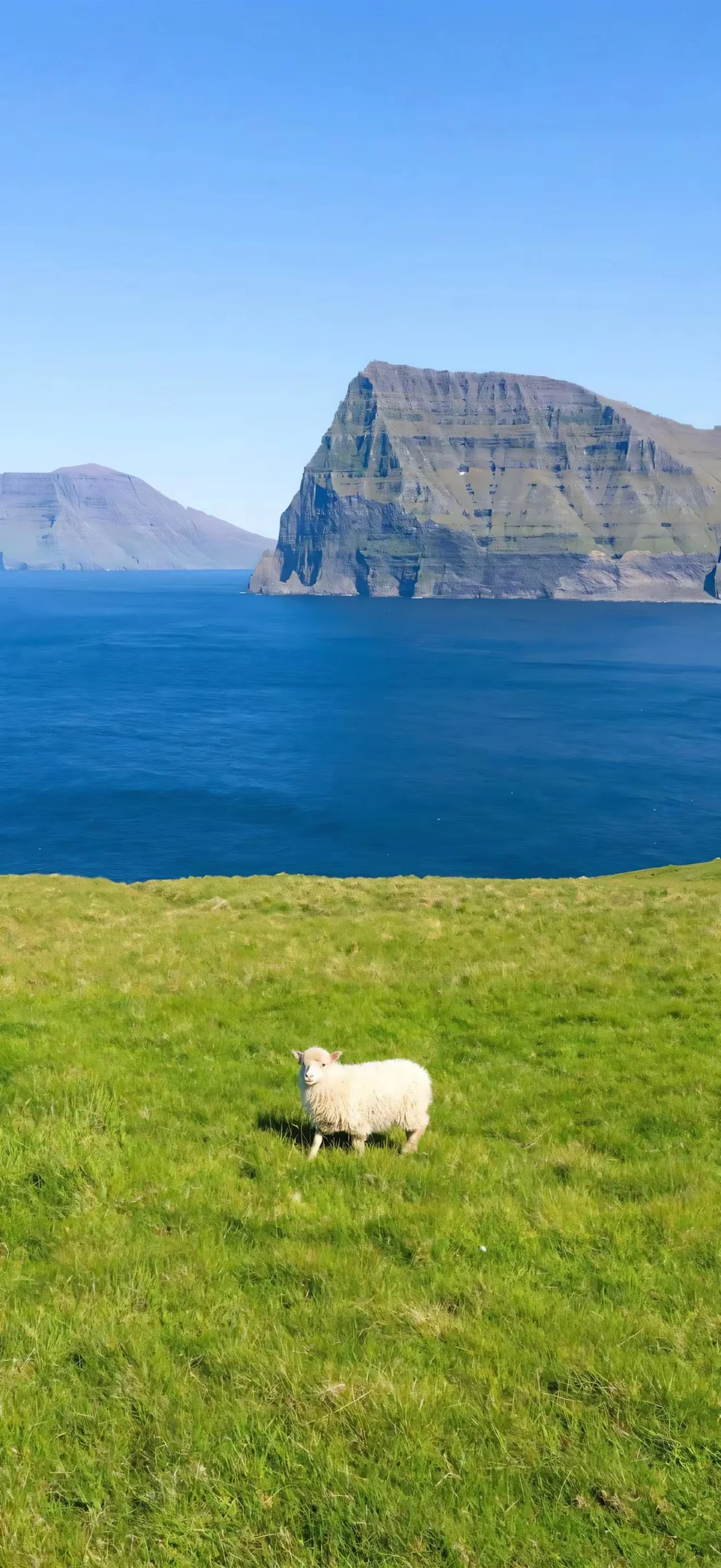 日本心理学家岸见一郎 在《被讨厌的勇气》里说：只要不关注任何人的动态...