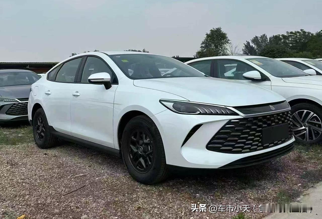 其实比亚迪真正爆发，也就是最近几年的事。我们现在熟知的汉、唐、秦、宋、元系列，都