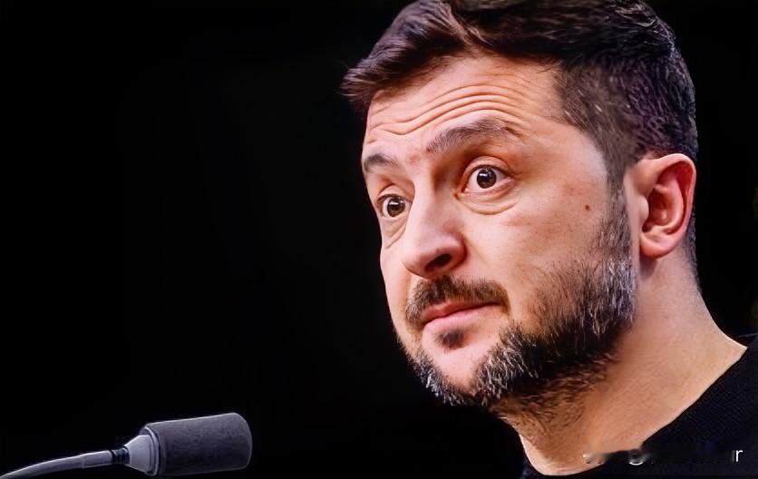 万万没想到，为迎合俄罗斯，美国的意见与其高度一致！据法新社报道，乌克兰总统泽连斯