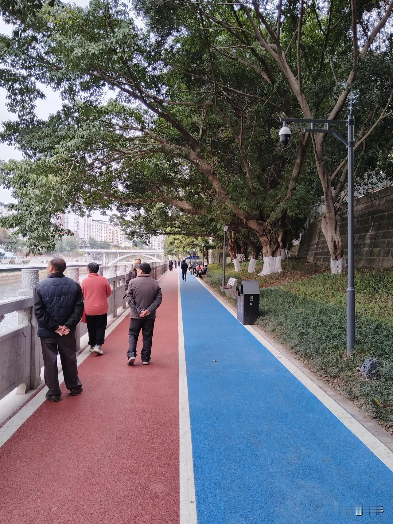 我以为这世上只有我一个人不打麻将，没想到居然也有与我同样的人。

最近在河边转路