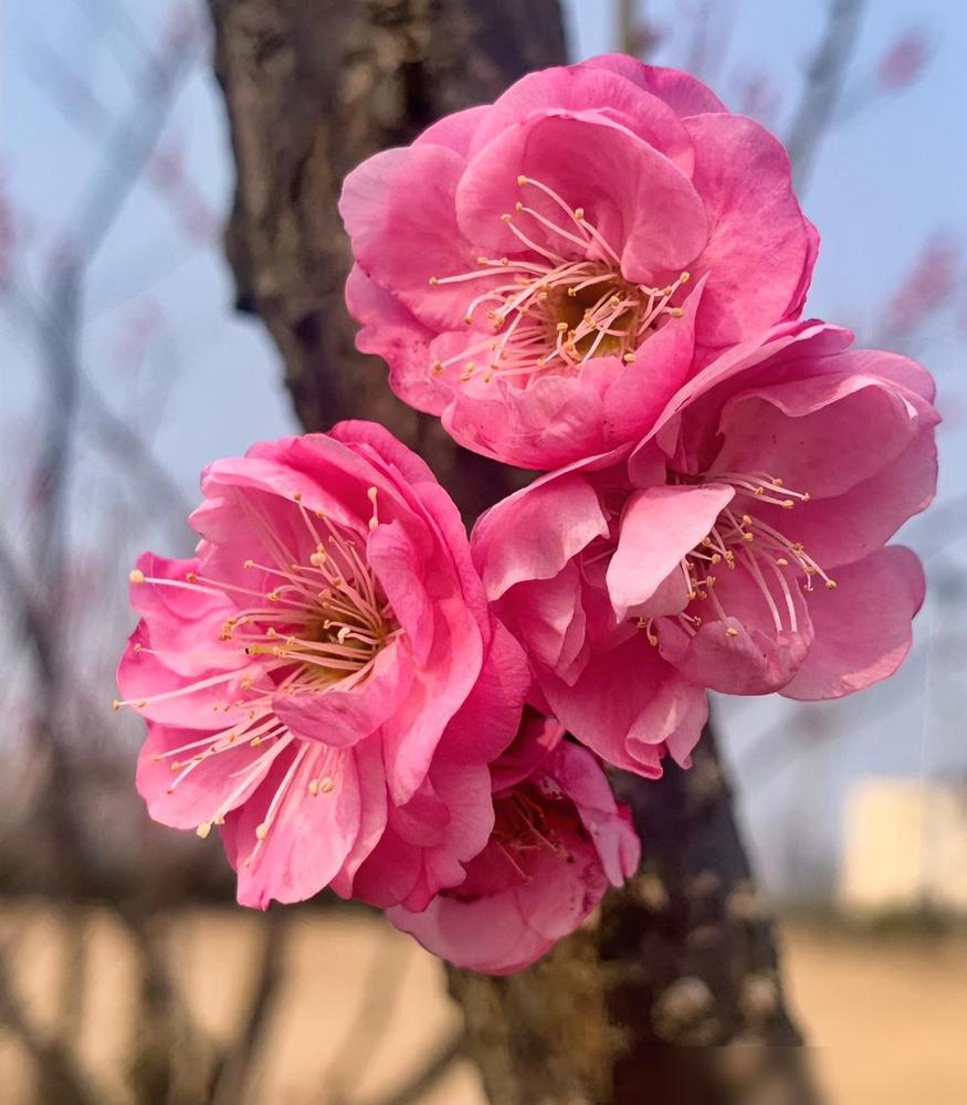 大寒节气有一些禁忌，请大家注意：

最近翻老黄历才发现，今天已经是大寒了，一年最