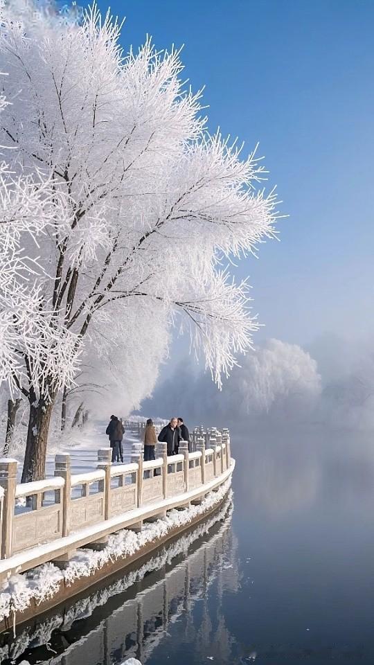 冬日生活打卡季冬日随手拍