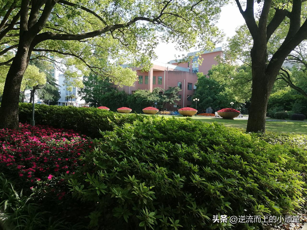 人这一生，真正的生命价值，从来不在于执着肉身躯体的无限存续，而是遵从天地本心的旨