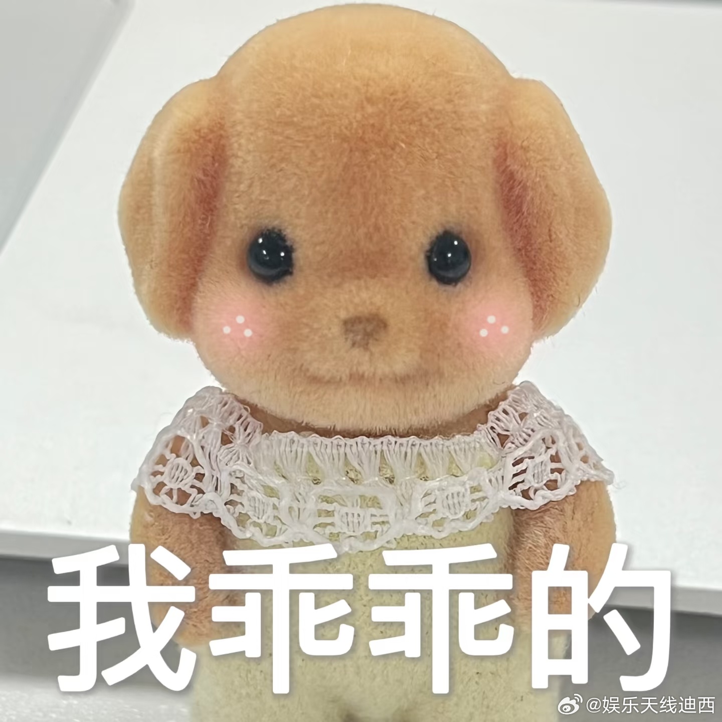 2会期间，大家谨言慎行哈