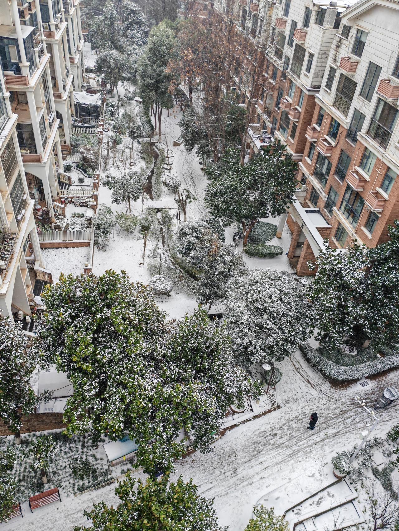 大寒天气就是冷，窗外银装素裹分外妖娆啊！