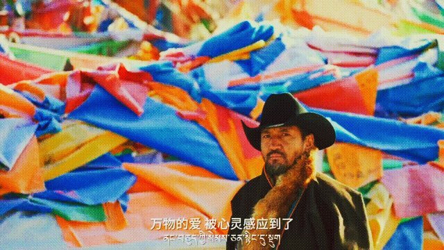 金巴为生命树写90秒影像诗 真的被金巴的真诚打动！90秒影像诗，没有华丽辞藻，全