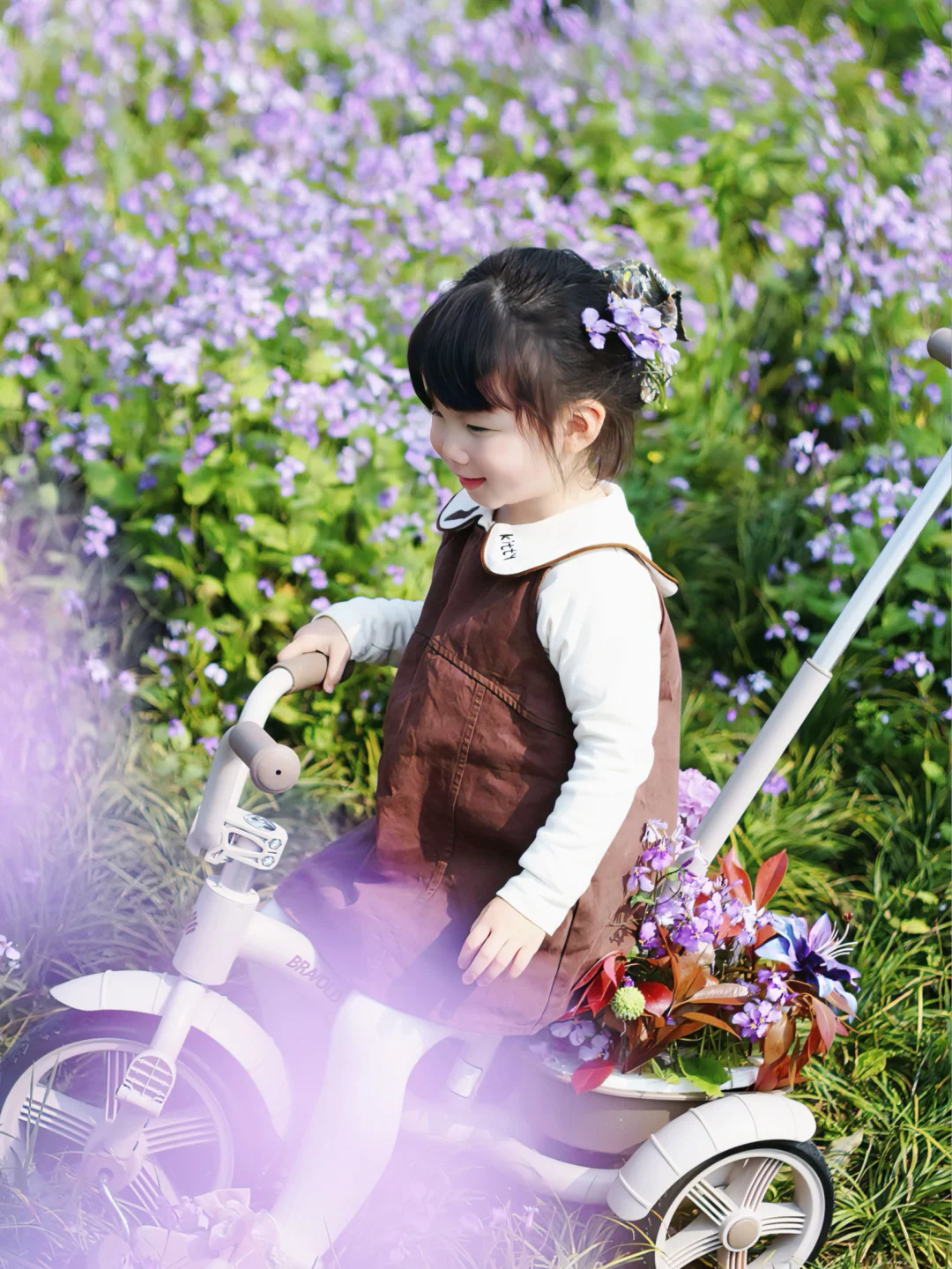 春天的美好 连鹦鹉也来凑热闹了🦜