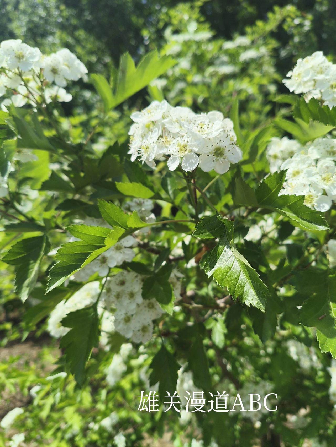 《邻里之间》
李大姐与王大姐是多年邻居，最近因为两个孩子的事情闹得见面扭着头。