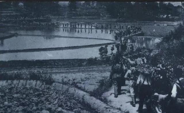 1942年，除夕夜枪声响起，团长却当鞭炮听！19团险被全歼
 
这支部队是新四军