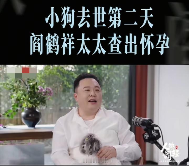 哈哈，大玄学！阎鹤祥说自己太太养了十年的狗第一天去世，第二天自己的太太就怀孕了！