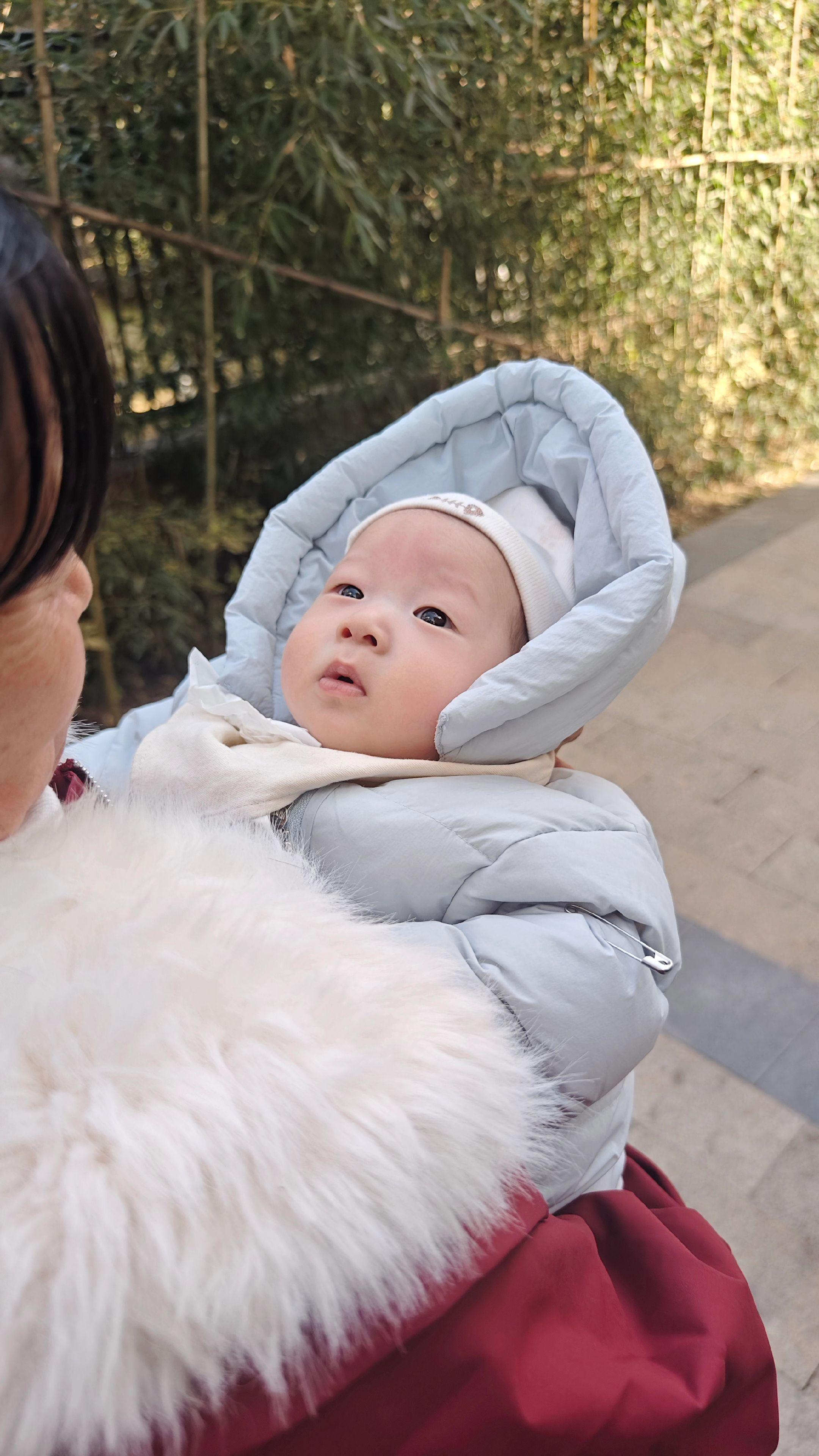 请问我崽额头上这是鹤吻痕吗？