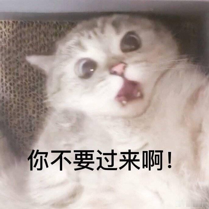 我面对要来的17级台风巴威 belike： 