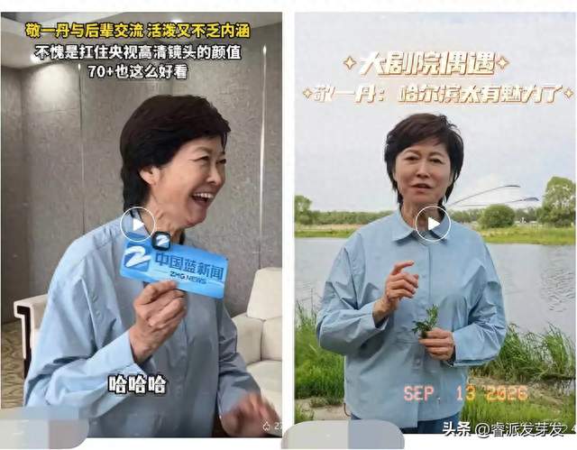 钱再多有什么用？蔡磊为敬一丹找药找了三个月，最后没等到她回信