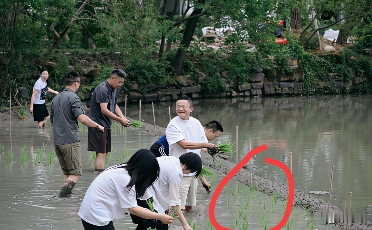 就这秧苗插的跟玩似的，我们这里有人包田，人家老板都是一排人，一路种下去可没这么分