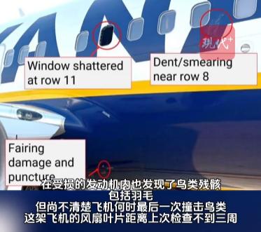 万米高空61岁老人半身被吸出窗外！4次撞鸟警告被无视、检测报告走过场，瑞安航空这