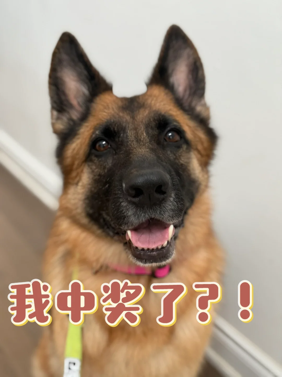 一顿饭吃出来两张票❗️❓