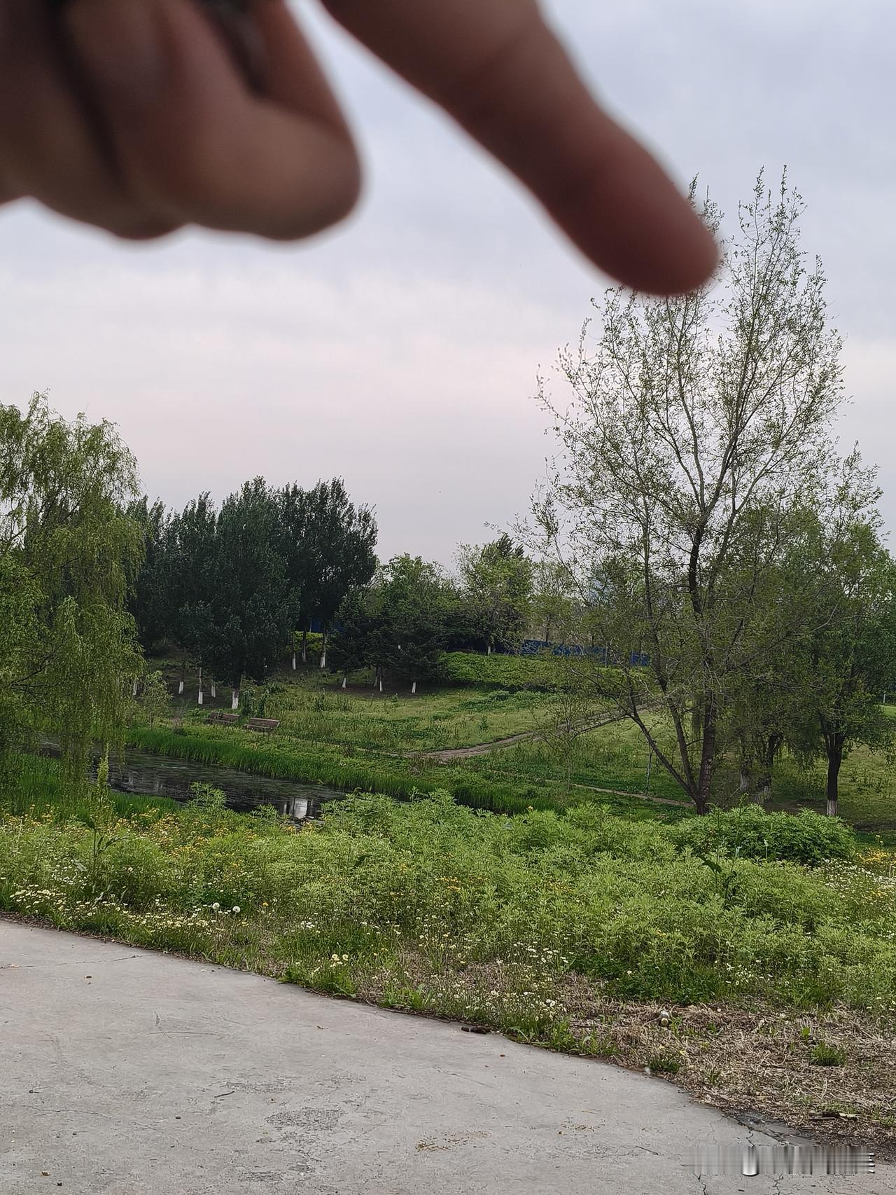 促进关系