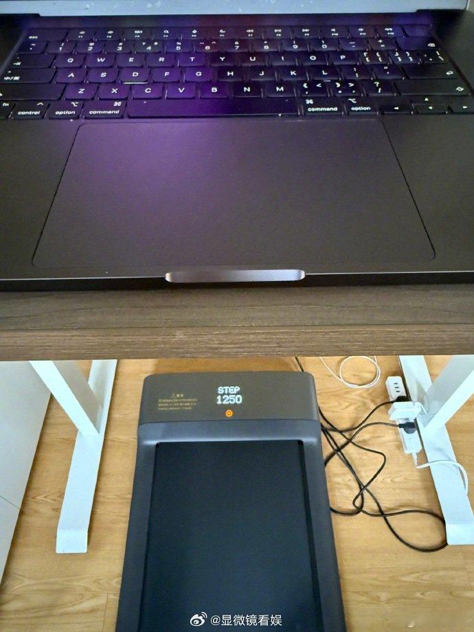 高晓松为减肥自制升降桌跑步机高晓松分享减肥技巧 高晓松分享减肥巧思，自制升降桌搭