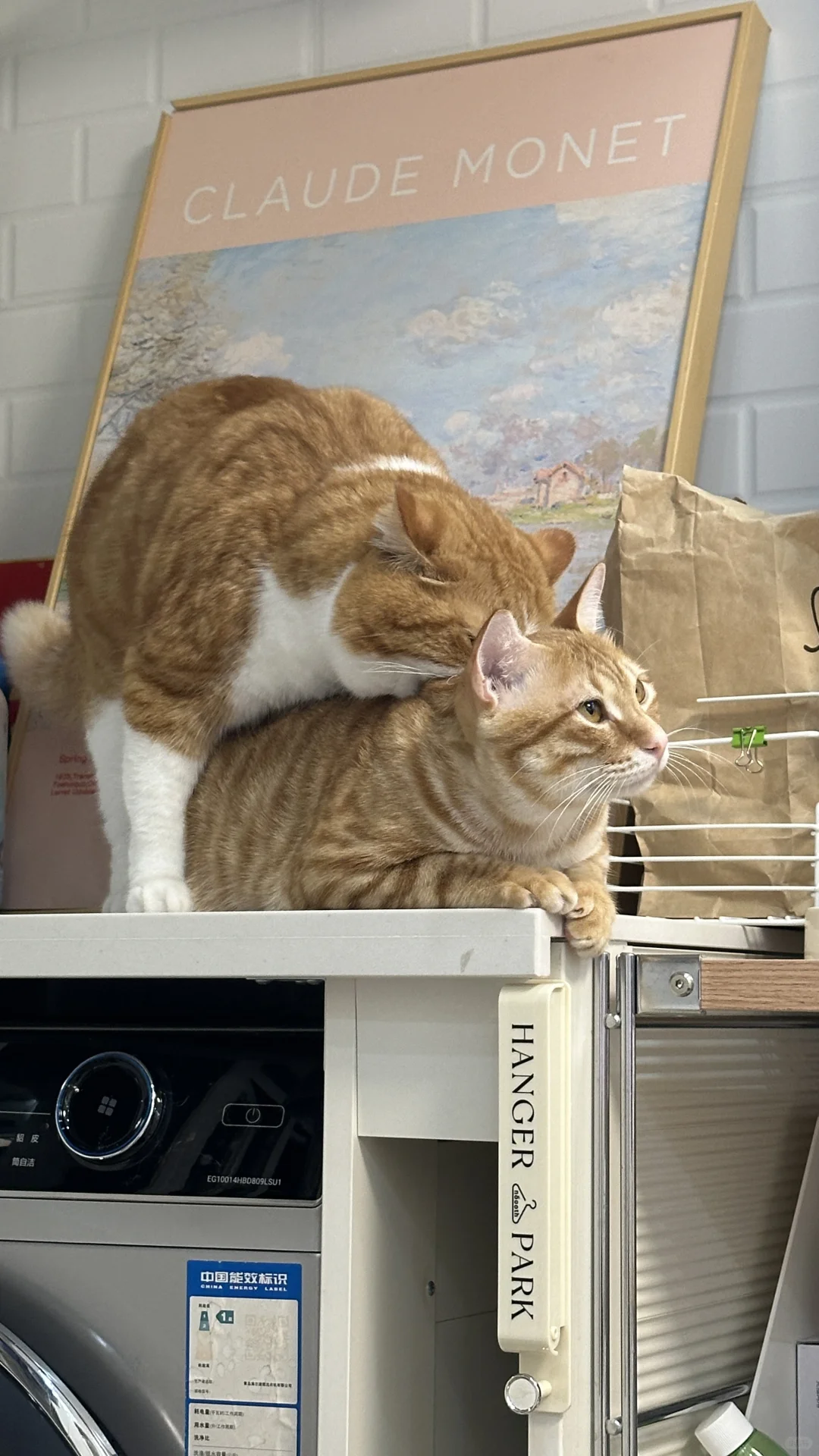 你一天到晚咬他干嘛呢 又不疼