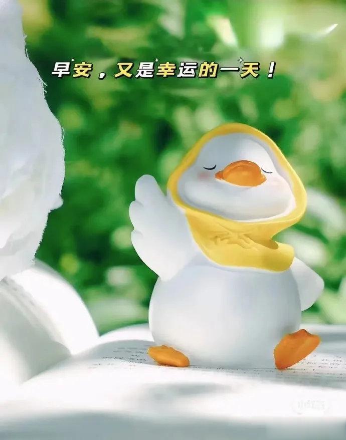 世间万物，纷繁陆离，翻手的苍凉，覆手的繁华，生活要尽心，也要随心，要决心，也要开