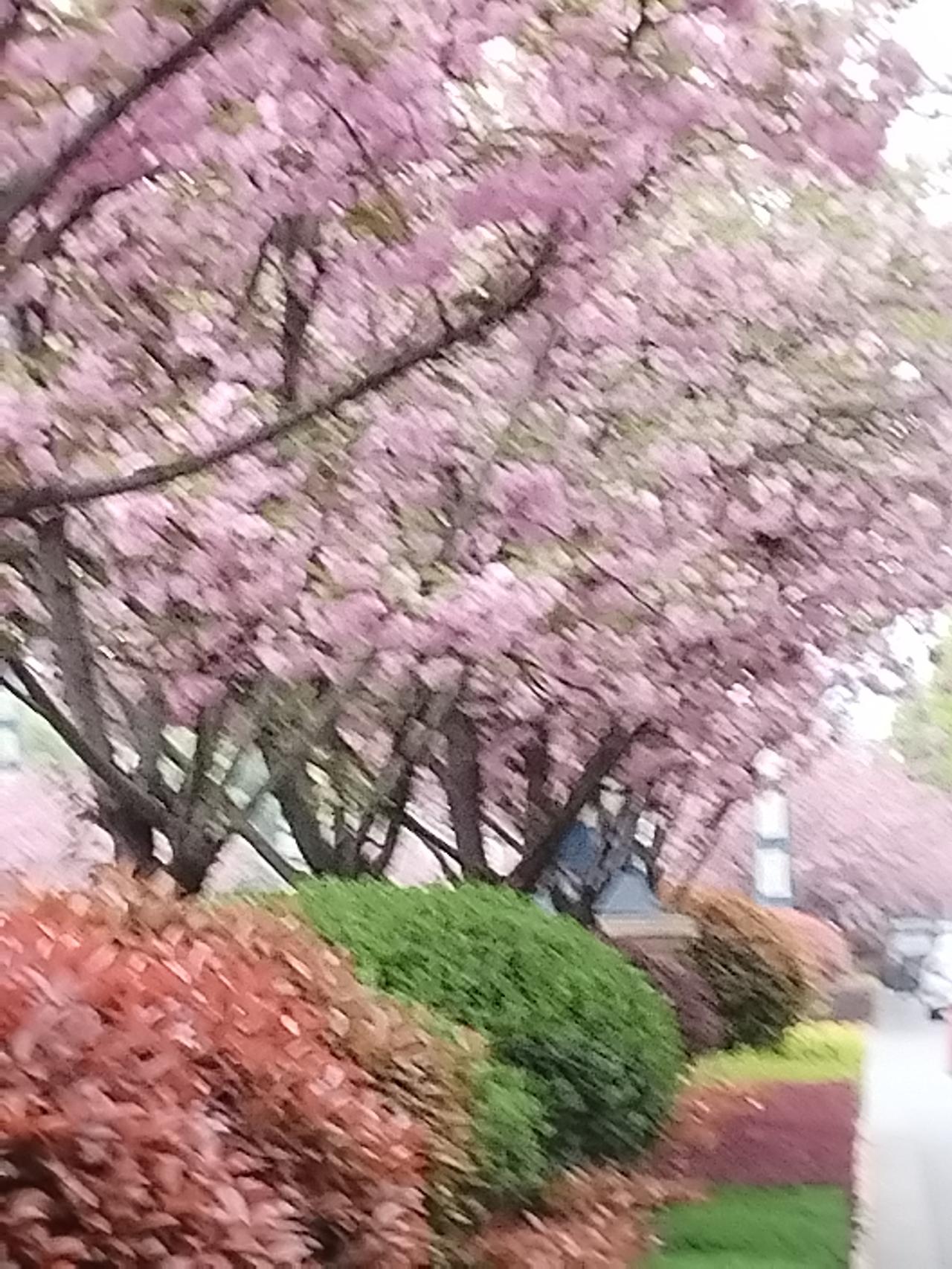上联：深海浅海海连海，
下联：高山低山山接山。

解释：
上联中“深海浅海海连海