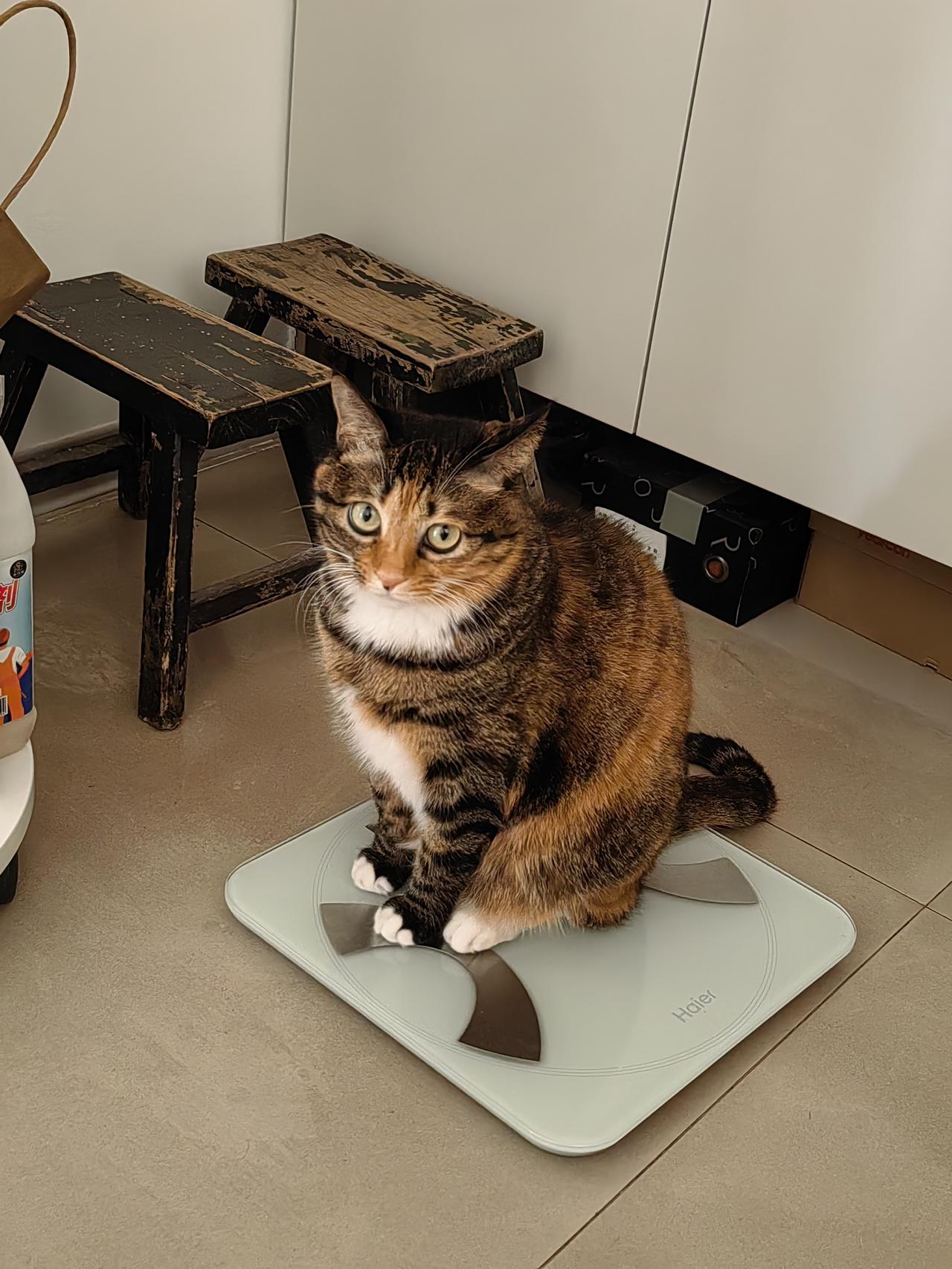 冬日生活打卡季