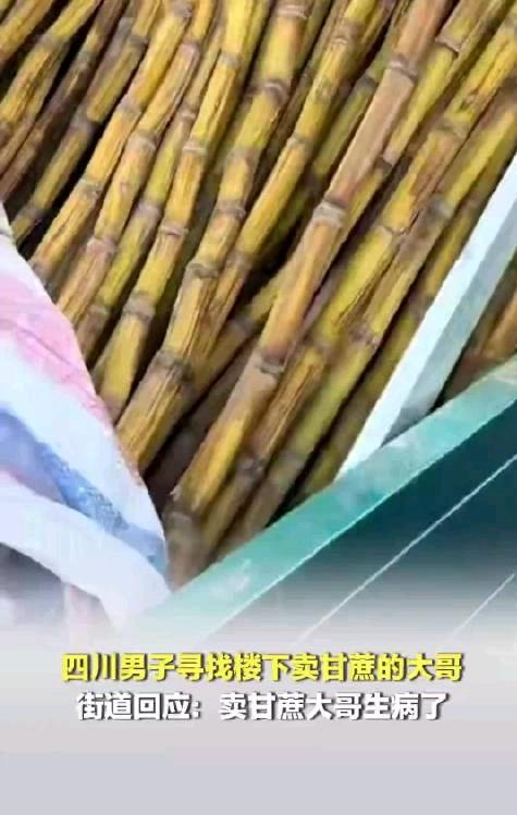 太暖心了，四川，一男子发现，楼下常年摆摊卖甘蔗的大哥从过年之后就没出摊了，路边三